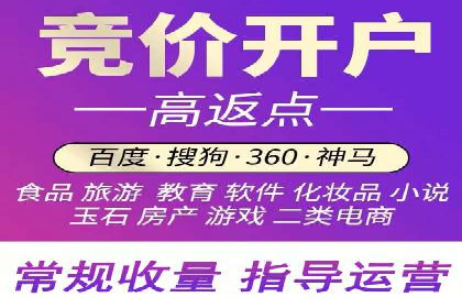 SEM广告投放策略：成功案例解析